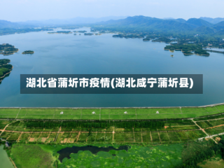 湖北省蒲圻市疫情(湖北咸宁蒲圻县)