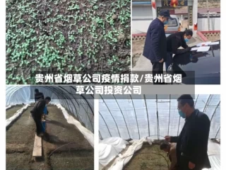 贵州省烟草公司疫情捐款/贵州省烟草公司投资公司
