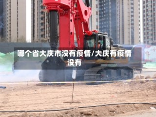 哪个省大庆市没有疫情/大庆有疫情没有