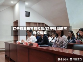 辽宁省湖岛市有疫情/辽宁省湖岛市有疫情吗