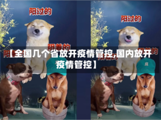 【全国几个省放开疫情管控,国内放开疫情管控】