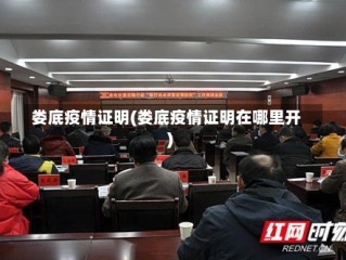 娄底疫情证明(娄底疫情证明在哪里开)