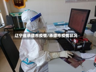 辽宁省承德市疫情/承德市疫情状况
