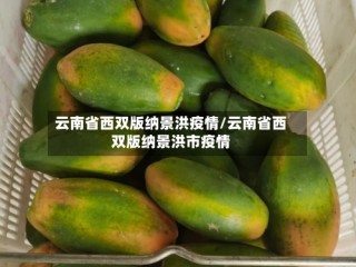 云南省西双版纳景洪疫情/云南省西双版纳景洪市疫情