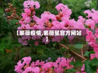 【紫薇疫情,紫薇星官方网站】