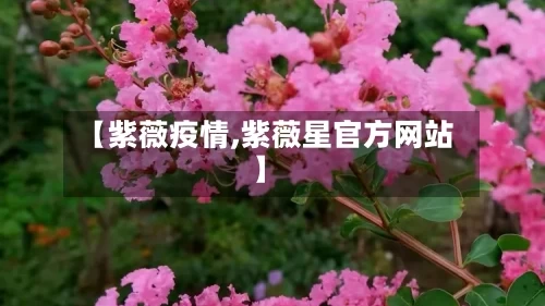 【紫薇疫情,紫薇星官方网站】