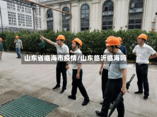 山东省临海市疫情/山东临沂临海吗