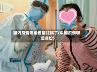 国内疫情哪些省插红旗了(中国疫情哪些省份)