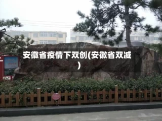 安徽省疫情下双创(安徽省双减)