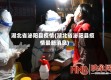 湖北省泌阳县疫情(湖北省泌阳县疫情最新消息)