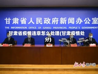 甘肃省疫情违章怎么处理(甘肃疫情处分)