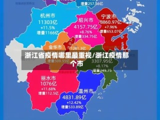 浙江省疫情哪里最重视/浙江疫情那个市