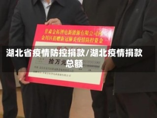湖北省疫情防控捐款/湖北疫情捐款总额