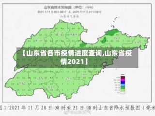 【山东省各市疫情进度查询,山东省疫情2021】
