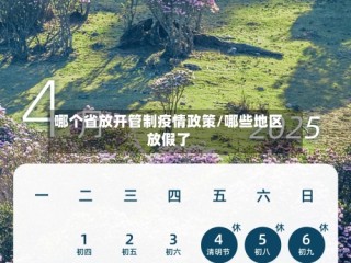 哪个省放开管制疫情政策/哪些地区放假了