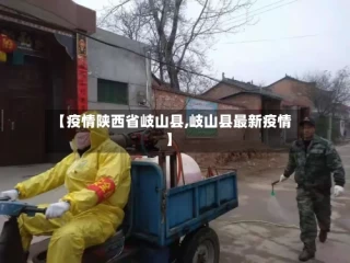 【疫情陕西省岐山县,岐山县最新疫情】