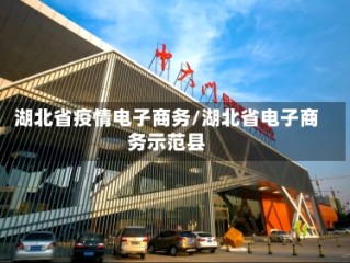 湖北省疫情电子商务/湖北省电子商务示范县