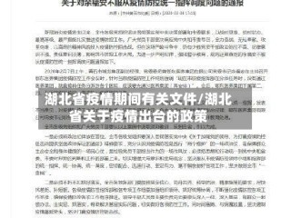 湖北省疫情期间有关文件/湖北省关于疫情出台的政策