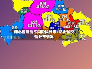 湖北省疫情不同阶段分布/湖北省疫情分布情况