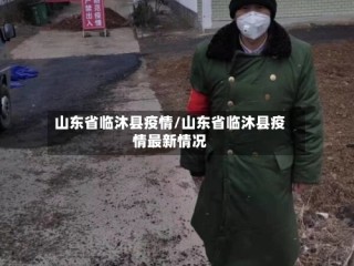 山东省临沐县疫情/山东省临沐县疫情最新情况