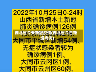 湖北省今天新冠疫情(湖北省今日新增病例)