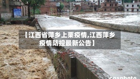 【江西省萍乡上栗疫情,江西萍乡疫情防控最新公告】