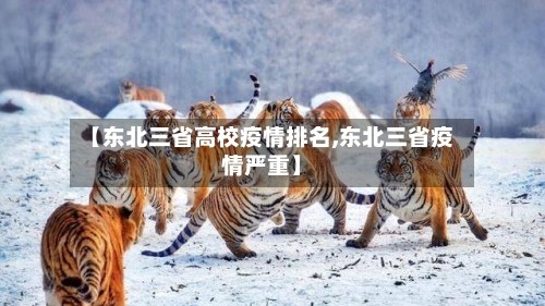 【东北三省高校疫情排名,东北三省疫情严重】