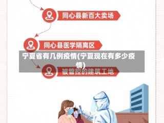 宁夏省有几例疫情(宁夏现在有多少疫情)