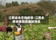 江西省永平镇疫情/江西永修疫情防控最新消息