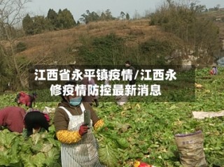 江西省永平镇疫情/江西永修疫情防控最新消息