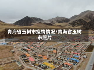 青海省玉树市疫情情况/青海省玉树市照片