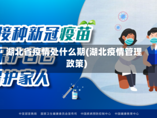 湖北省疫情处什么期(湖北疫情管理政策)