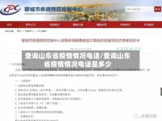 查询山东省疫情情况电话/查询山东省疫情情况电话是多少