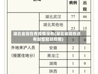 湖北省现在有疫情没有(湖北省现在还有新型冠状疫情)