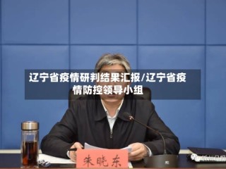 辽宁省疫情研判结果汇报/辽宁省疫情防控领导小组
