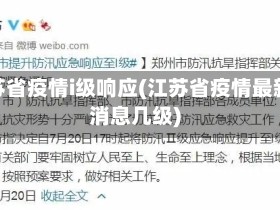 江苏省疫情i级响应(江苏省疫情最新消息几级)