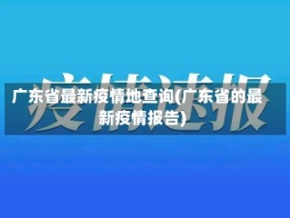 广东省最新疫情地查询(广东省的最新疫情报告)