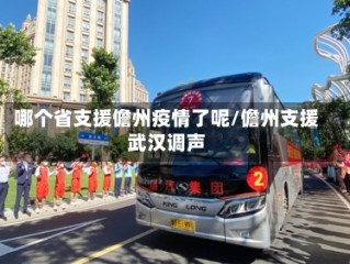 哪个省支援儋州疫情了呢/儋州支援武汉调声