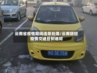 云南省疫情期间违章处理/云南防控疫情交通管制通知