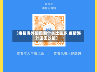 【疫情海外回国哪个省比较多,疫情海外回国政策】