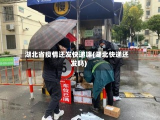 湖北省疫情还发快递嘛(湖北快递还发吗)
