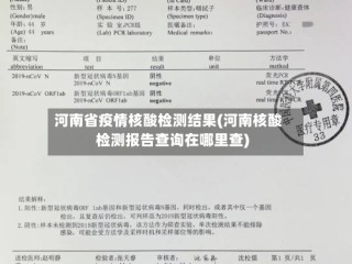 河南省疫情核酸检测结果(河南核酸检测报告查询在哪里查)