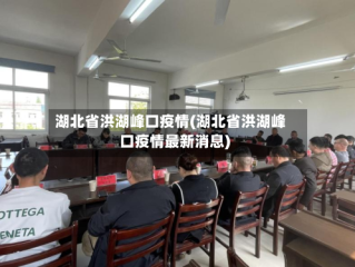 湖北省洪湖峰口疫情(湖北省洪湖峰口疫情最新消息)