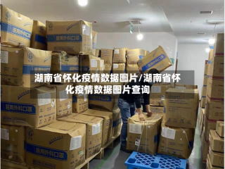 湖南省怀化疫情数据图片/湖南省怀化疫情数据图片查询