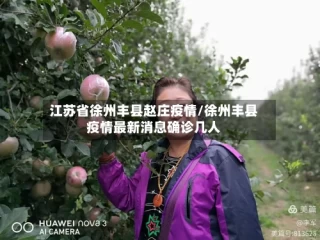 江苏省徐州丰县赵庄疫情/徐州丰县疫情最新消息确诊几人