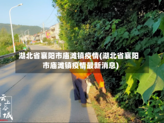 湖北省襄阳市庙滩镇疫情(湖北省襄阳市庙滩镇疫情最新消息)