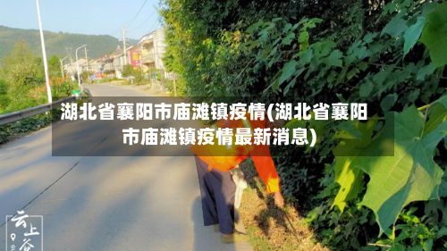 湖北省襄阳市庙滩镇疫情(湖北省襄阳市庙滩镇疫情最新消息)