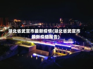 湖北省武宣市最新疫情(湖北省武宣市最新疫情报告)