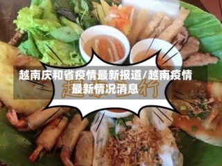 越南庆和省疫情最新报道/越南疫情最新情况消息