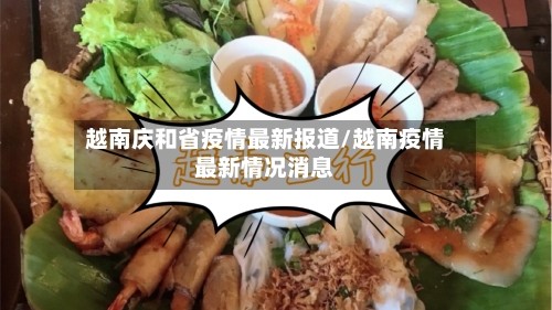 越南庆和省疫情最新报道/越南疫情最新情况消息